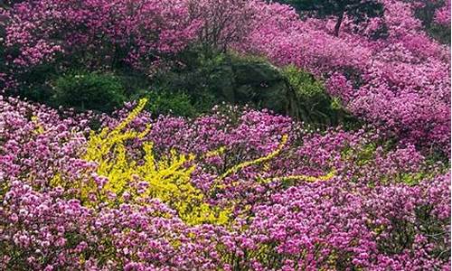 青岛景点清明游_青岛清明游玩