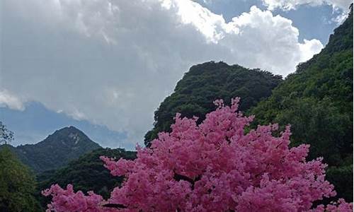 森林公园一日游攻略_四明山国家森林公园一日游攻略